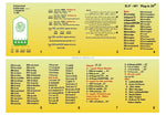 Digital Quran Zikir Speaker & Lamp Plug